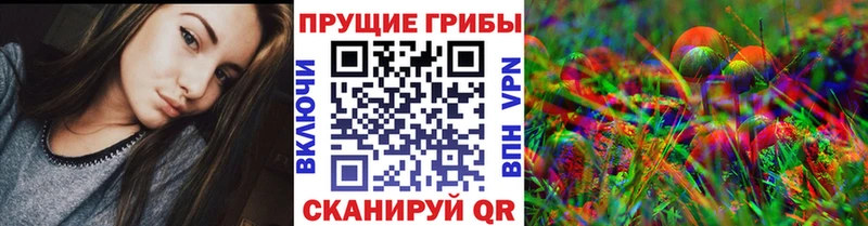 Псилоцибиновые грибы прущие грибы Гатчина